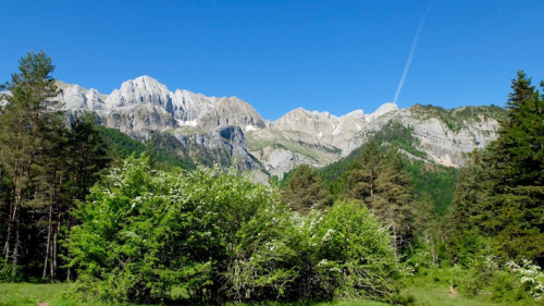 Montagne-Osa